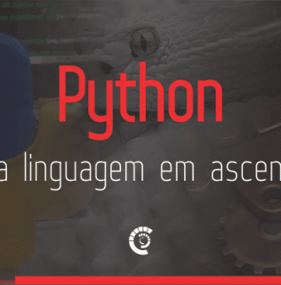 Python: uma linguagem de programação em ascensão